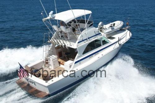 Bertram 38 recensioni e scheda tecnica